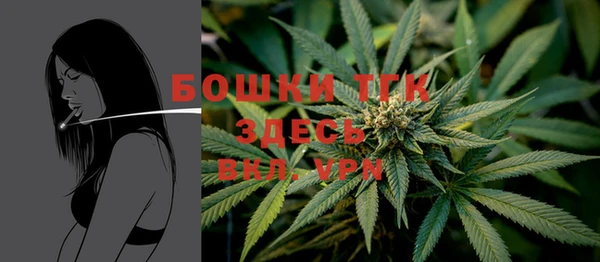 ГАЛЛЮЦИНОГЕННЫЕ ГРИБЫ Краснослободск
