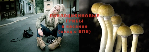 ГАЛЛЮЦИНОГЕННЫЕ ГРИБЫ Краснослободск