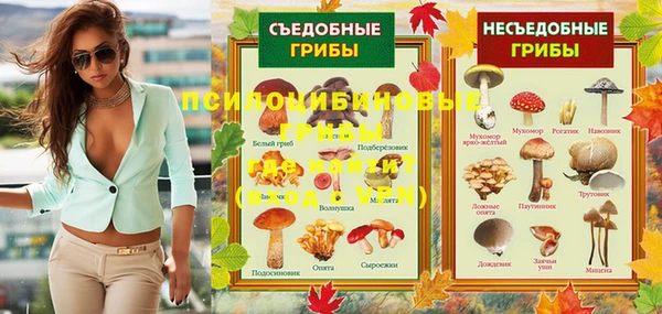 ГАЛЛЮЦИНОГЕННЫЕ ГРИБЫ Краснослободск
