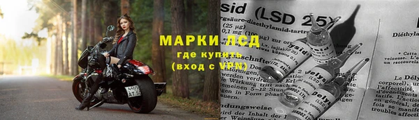 PSILOCYBIN Красноперекопск