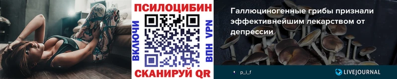 omg как зайти  Омск  Галлюциногенные грибы мухоморы 