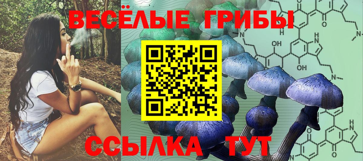 Галлюциногенные грибы GOLDEN TEACHER Омск